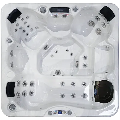 Avalon EC-849L hot tubs for sale in Reading