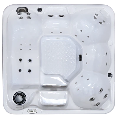 Hawaiian PZ-636L hot tubs for sale in Reading